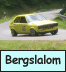 Motorsport: Bergslalom